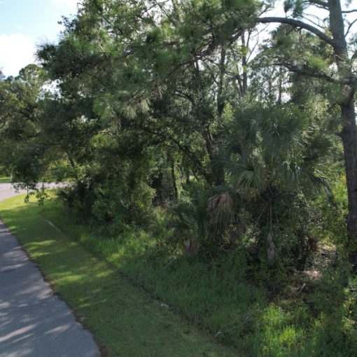 6717 Virtudes St, Sebring, FL 33872