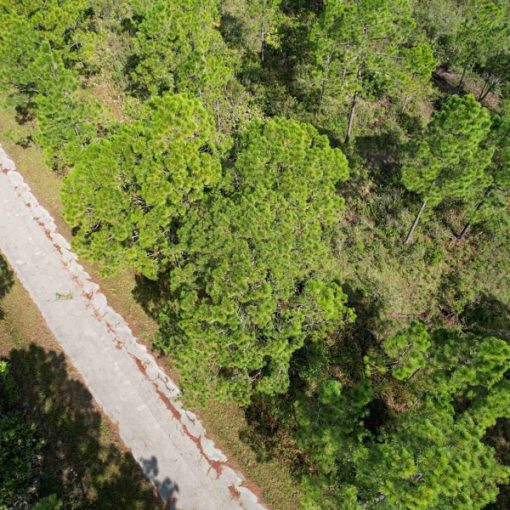 7910 Paradela Dr, Sebring, FL 33872