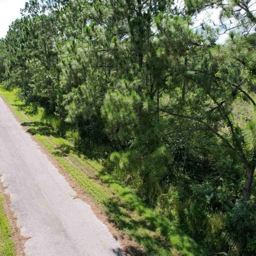 8000 Trevino Ave, Sebring, FL 33872