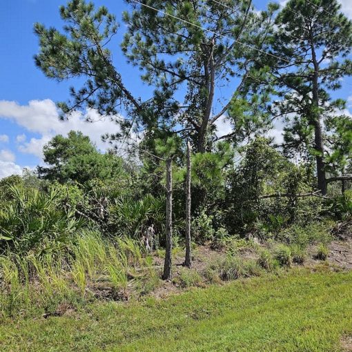 8036 Yumuri St, Sebring, FL 33872