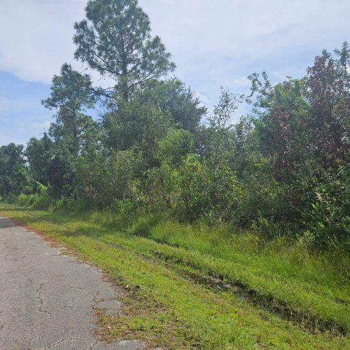 8037 Zamora av, Sebring, FL 33872