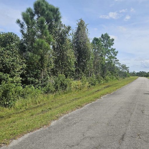 7356 Happyface St, Sebring, FL 33872