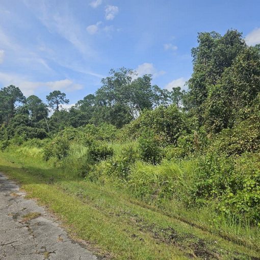 7360 Happyface St, Sebring, FL 33872