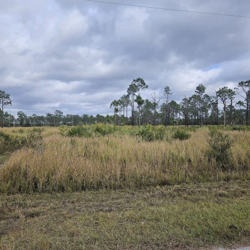 7714 Granada Blvd, Sebring, FL 33872