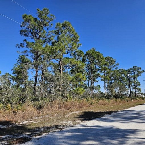 317 Meadowlark Ave, Sebring, FL 33870