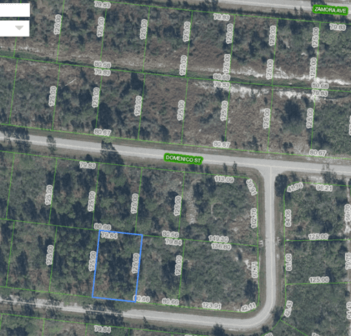 7902 Carrillo Dr, Sebring, FL 33872