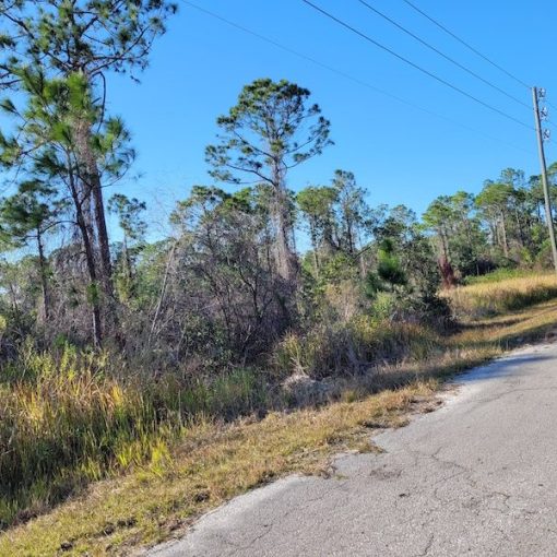 4311 Gerona Ave, Sebring, FL 33872