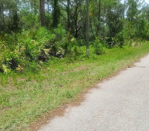 5646 San Juan Dr, Sebring, FL 33872