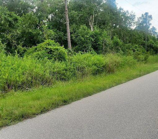 8327 Sun N Lake Blvd, Sebring, FL 33872