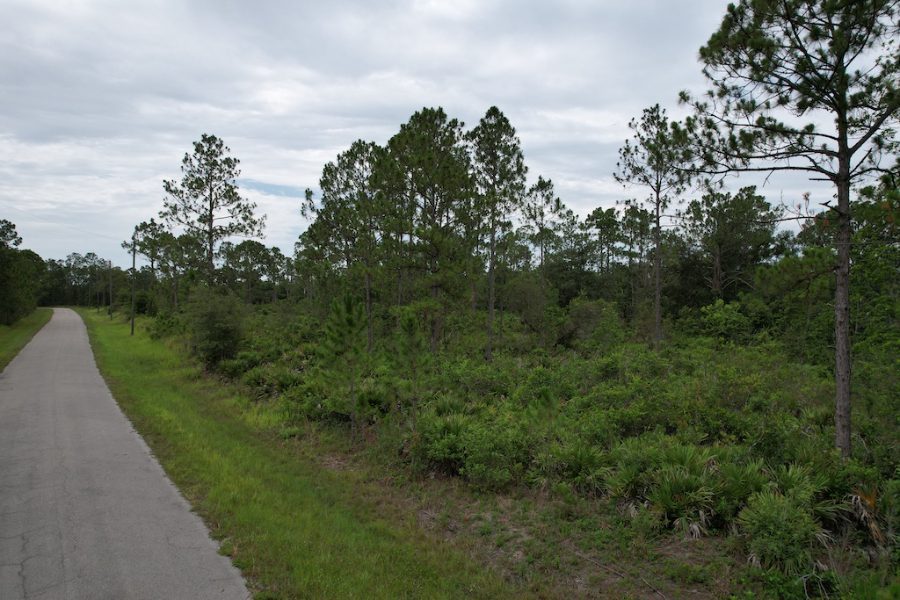 8376 Mantua Ave, Sebring, FL 33872 - Imagen 2